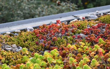 the cost of Criech green roof installation