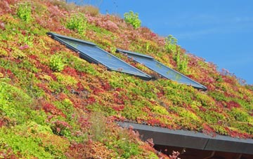 Criech living roof systems